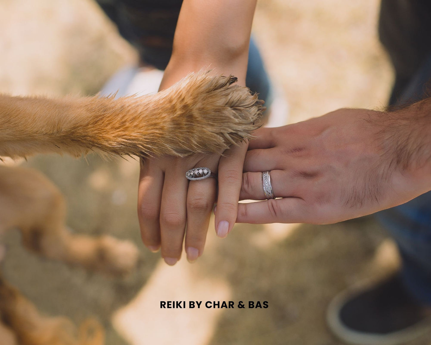 Sacred Pet Healing - Distant Reiki Energy Healing for Cats, Dogs, and All Beloved Pets