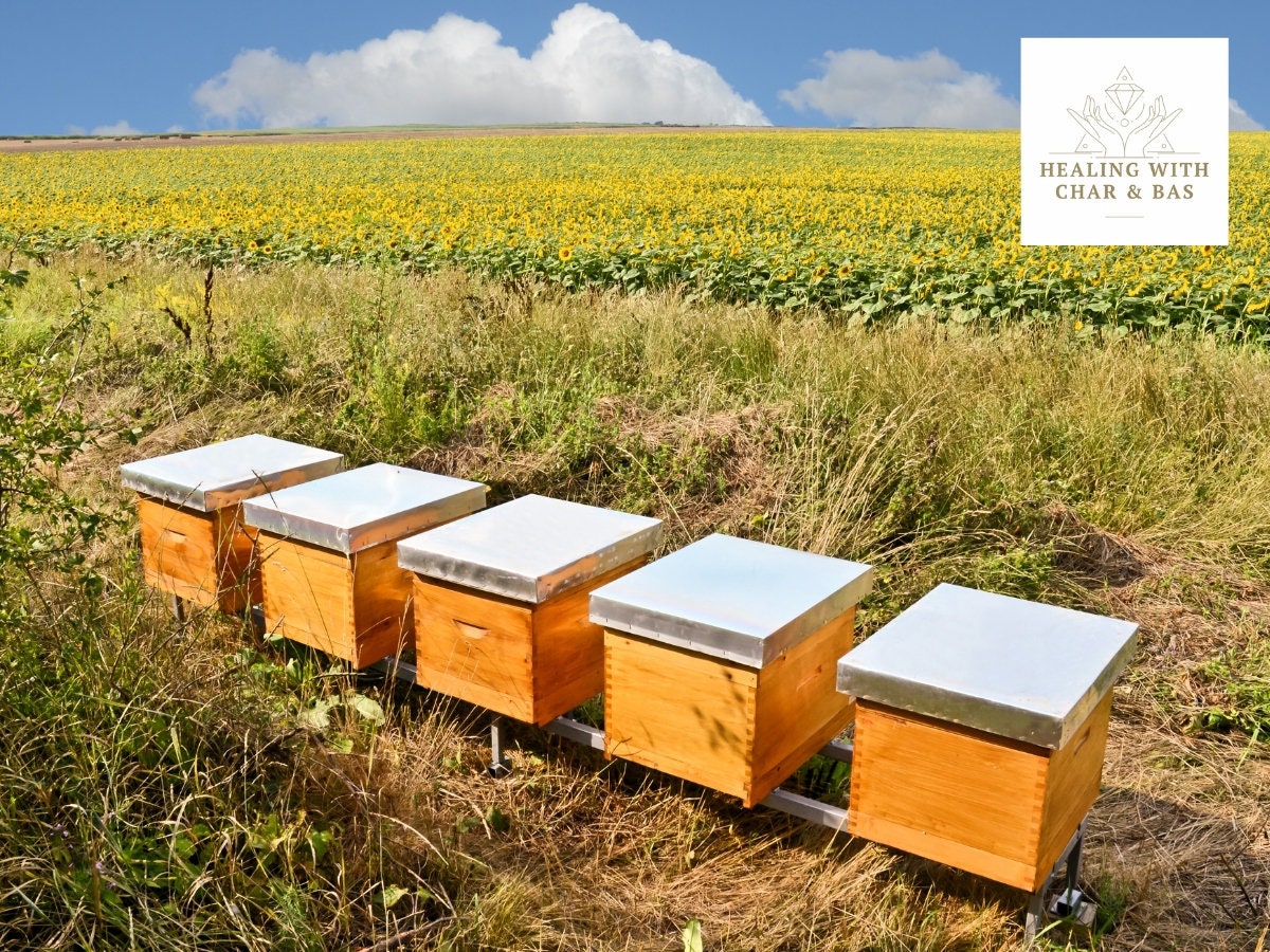 Raw Bee Pollen Organic Superfood - BIG BAGS